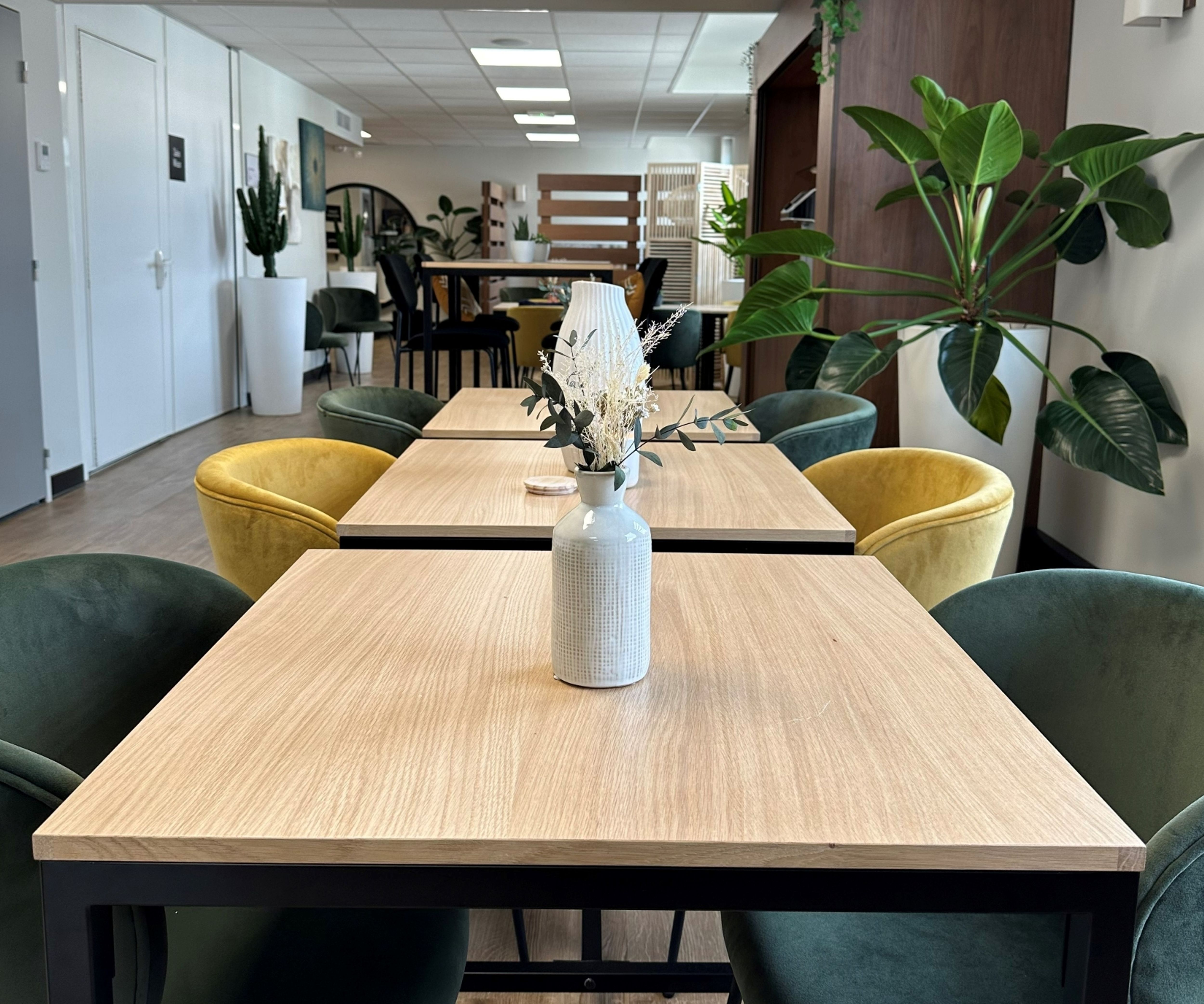 Wojo Lyon - Ibis Sud Oullins